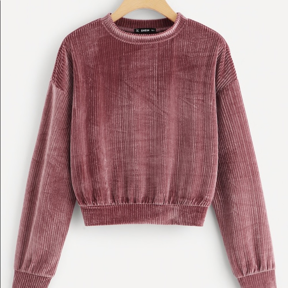Robbed Velvet Pink Sweatshirt